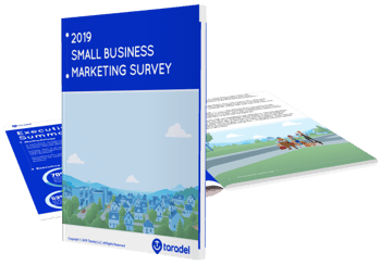 2019_smallbusiness_survey